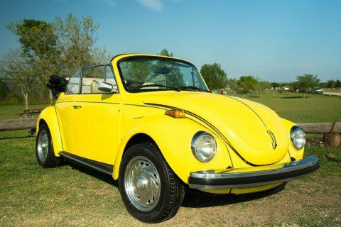 1979 Volkswagen Beetle Classic for sale
