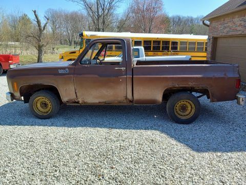 1979 Chevrolet 1/2 ton shortbed c10 square body pickup truck for sale
