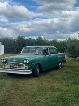 1977 Checker Marathon for sale